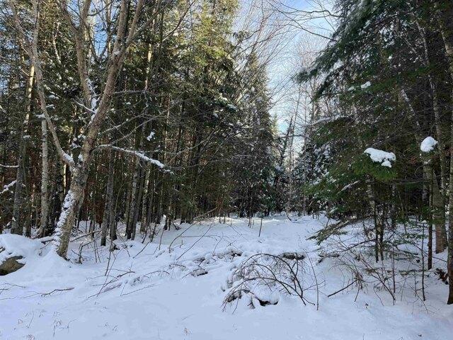 Land for sale in Glover, Vermont