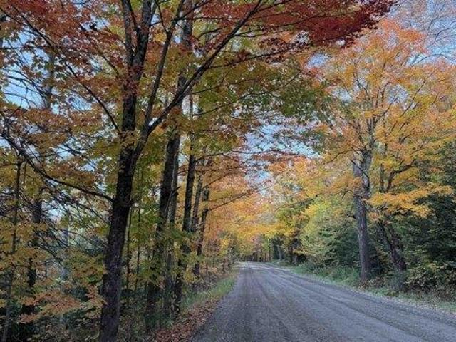 Land for sale in Glover, Orleans County