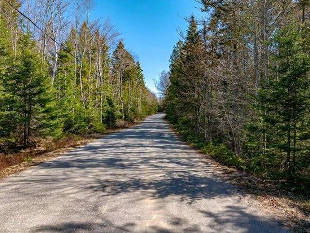 Land for sale in Corea, Maine