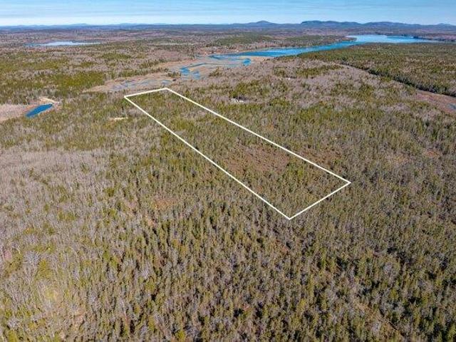 Land for sale in Corea, Maine