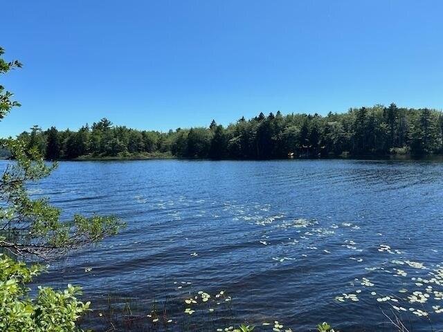 Land for sale in Corea, Maine