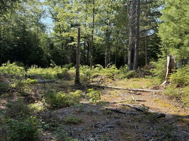 Land for sale in Corea, Maine