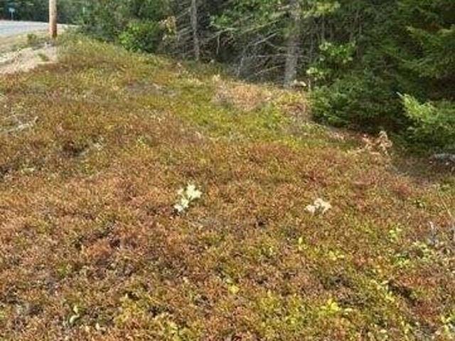 Land for sale in Corea, Maine