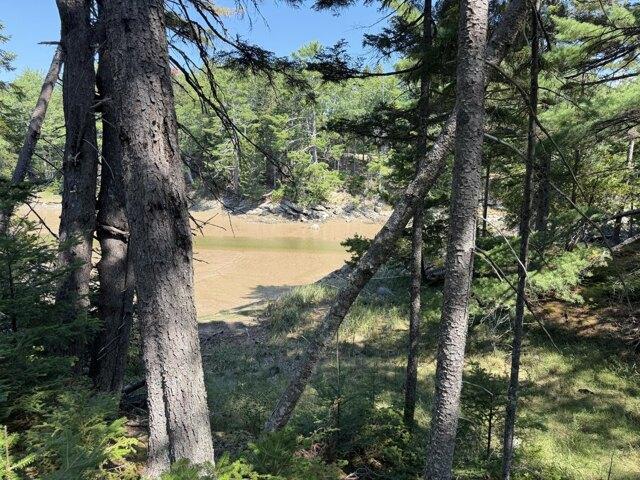 Land for sale in Corea, Maine