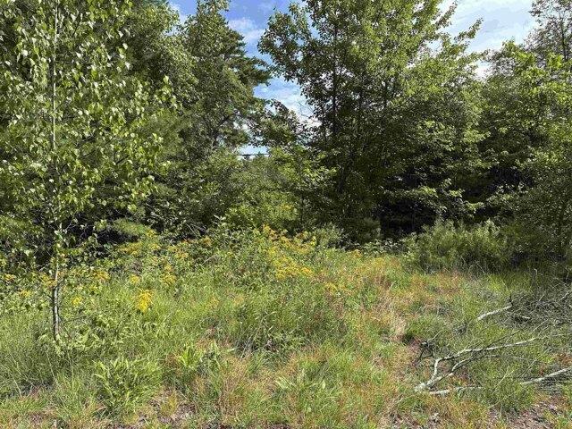 Land for sale in New Hampshire