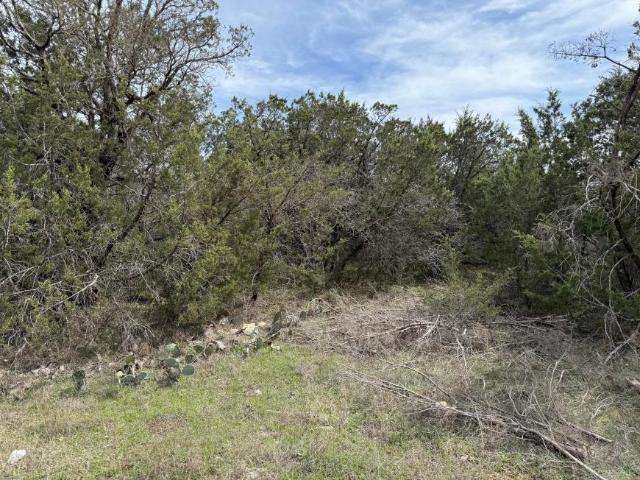 Land for sale in Granbury