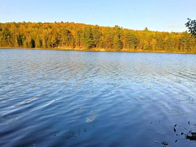 Land for sale in New Hampshire