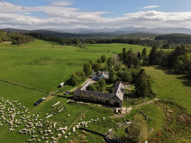 Land for sale in Skye Of Curr, Scotland
