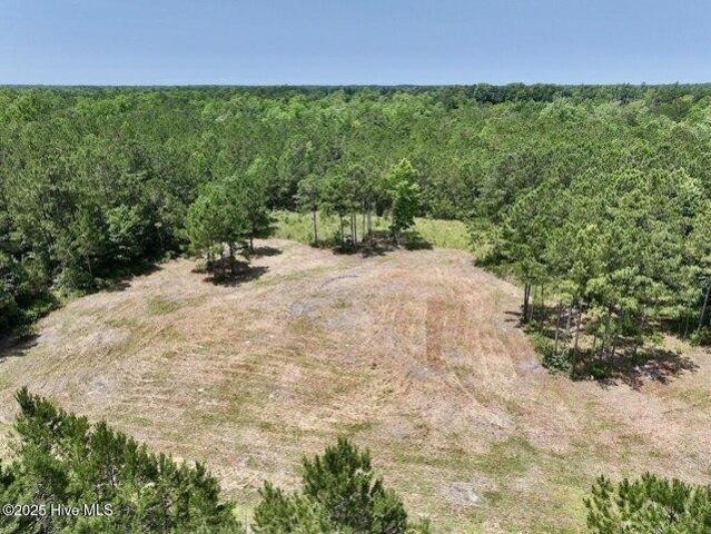 Land for sale in Grantsboro, North Carolina