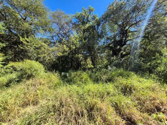 Land for sale in Gravelotte, Ba-Phalaborwa Local Municipality