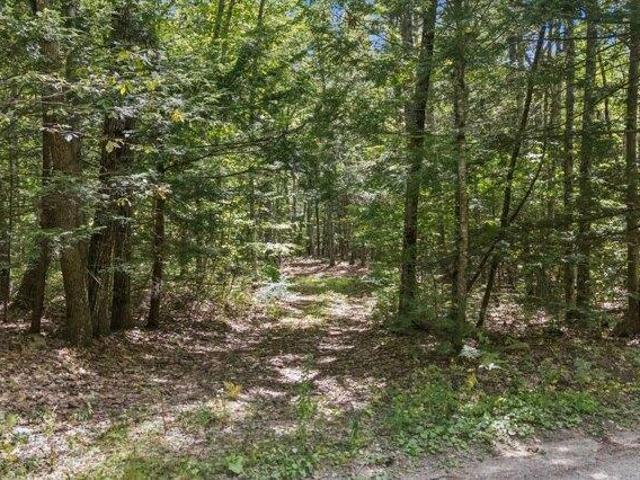 Land for sale in Gray, Maine