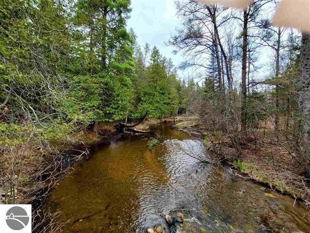 Land for sale in Grayling, Michigan