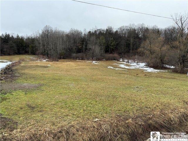 Land for sale in Great Valley, New York