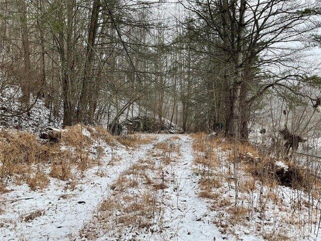 Land for sale in Yancey, North Carolina