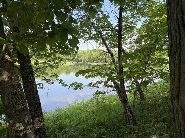 Land for sale in Greenbush, Maine