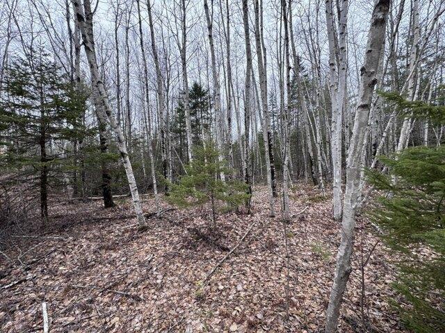 Land for sale in Greenbush, Maine