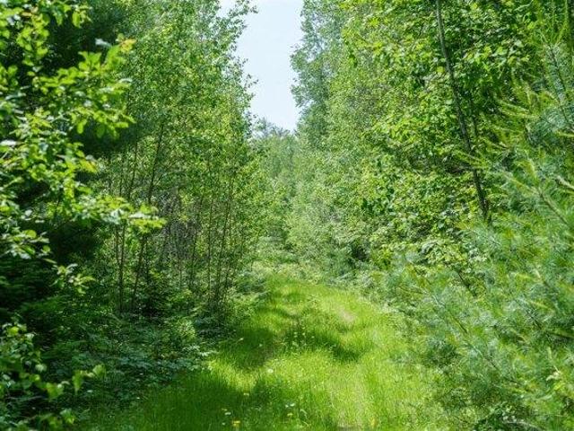 Land for sale in Greenbush, Maine