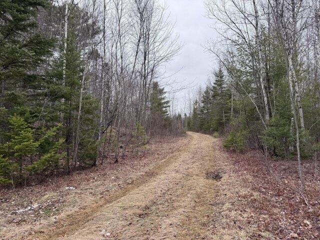 Land for sale in Greenbush, Penobscot County