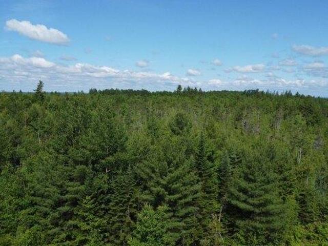 Land for sale in Cardville, Greenbush