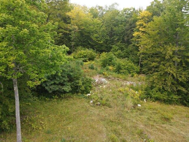 Land for sale in Greene, Maine