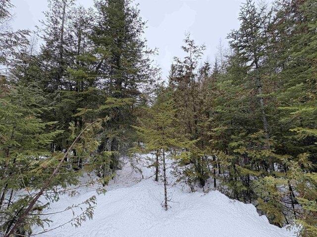 Land for sale in Greensboro, Vermont