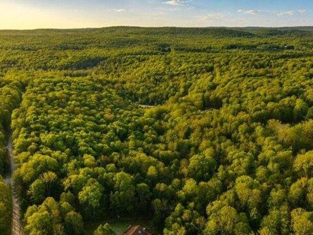 Land for sale in Canadensis, Pennsylvania