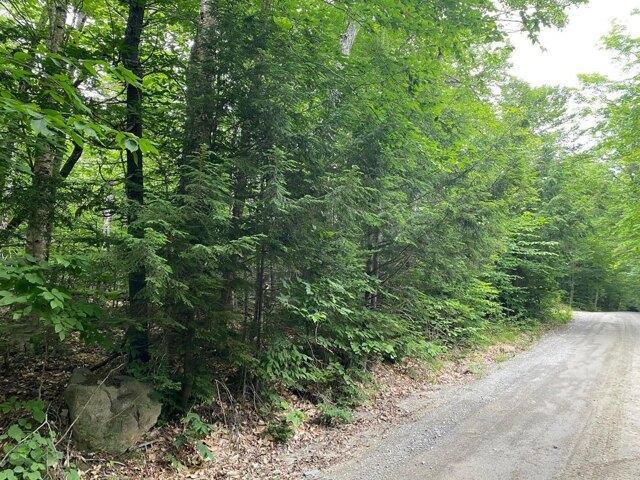 Land for sale in Greenville, Maine