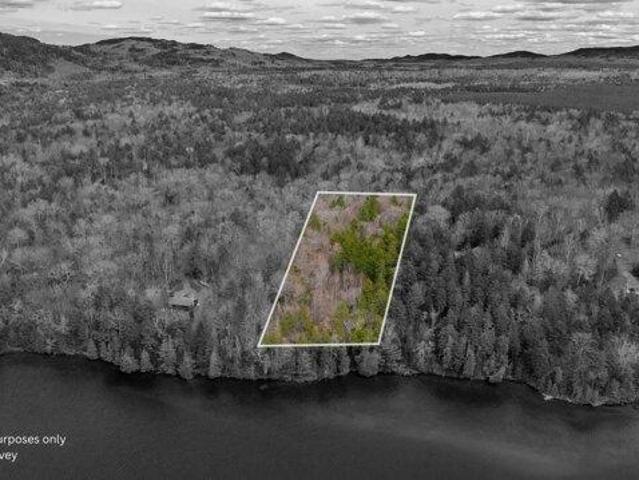 Land for sale in Greenville, Maine