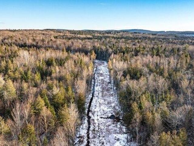 Land for sale in Greenville, Maine