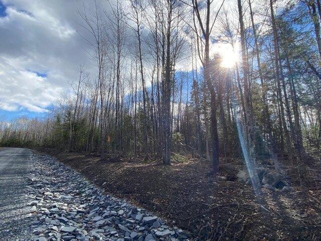 Land for sale in Greenville, Maine