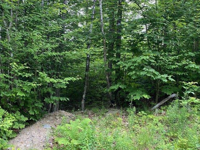 Land for sale in Greenville, Maine