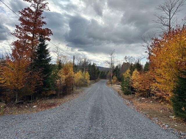 Land for sale in Greenville, Maine