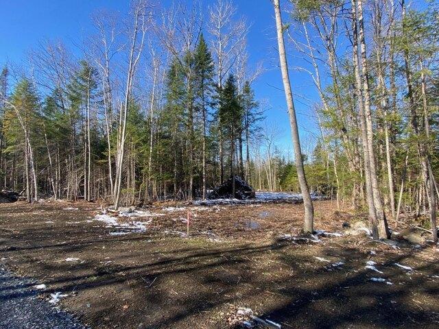 Land for sale in Greenville, Maine