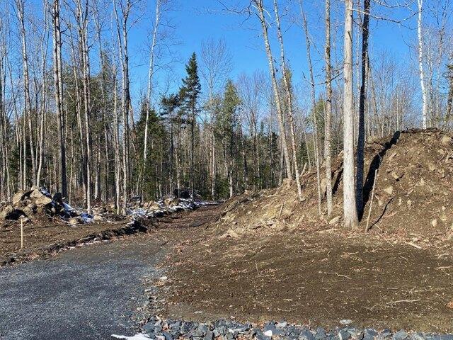 Land for sale in Greenville, Maine