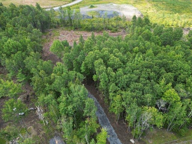 Land for sale in Greenville, Maine