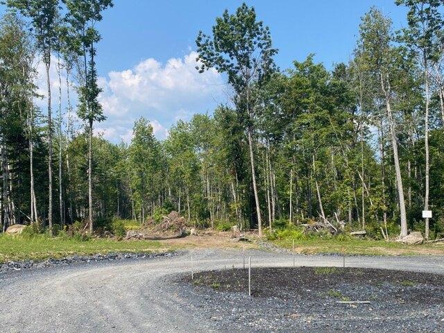 Land for sale in Greenville, Maine