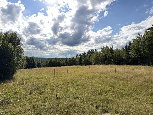 Land for sale in Greenville, Piscataquis County