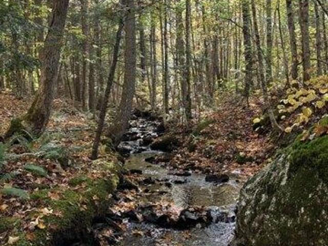 Land for sale in Greenwood, Maine