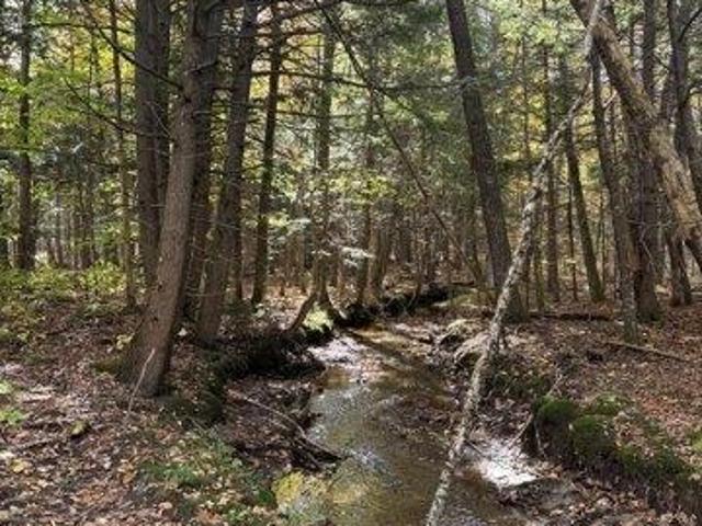 Land for sale in Greenwood, Maine