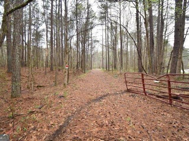 Land for sale in Spalding, Georgia