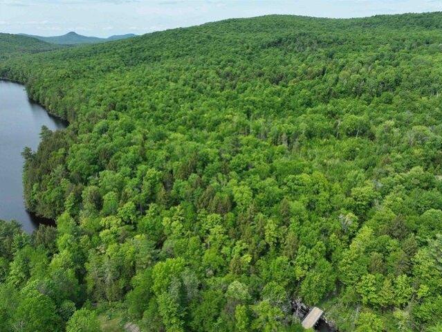 Land for sale in Groton, Vermont