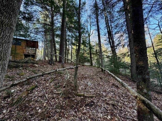Land for sale in Groton, Vermont