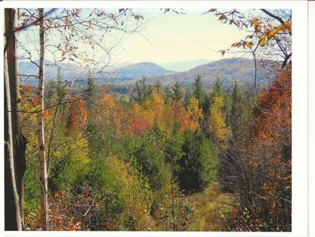 Land for sale in Guildhall, Vermont