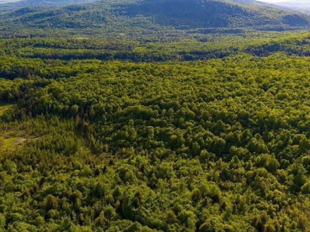 Land for sale in Guildhall, Vermont