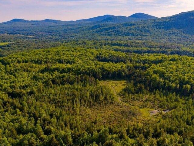 Land for sale in Guildhall, Vermont