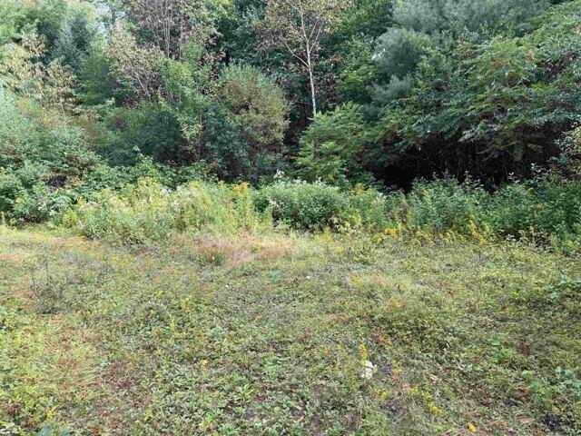 Land for sale in Guildhall, Vermont