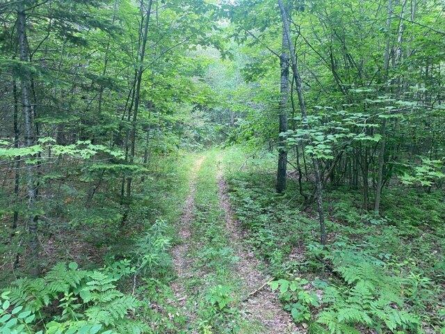 Land for sale in Guilford, Maine