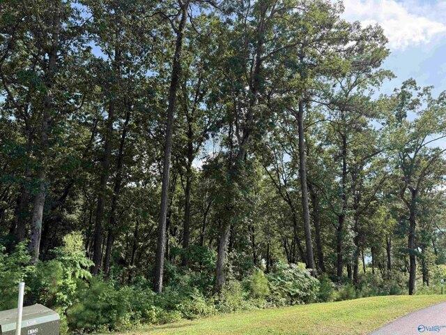 Land for sale in Guntersville, Alabama