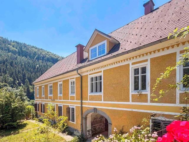 Haus kaufen in Laussa, Oberösterreich