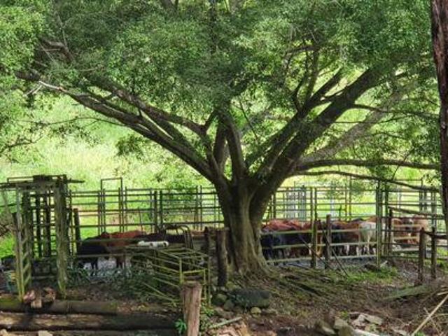 Land for sale in Habana